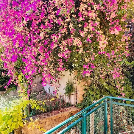 Vatican Inside House *